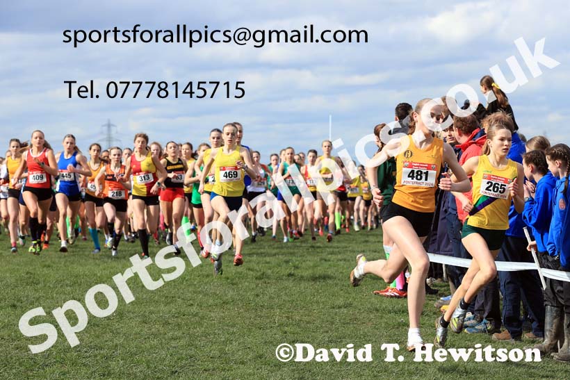 Intermediate Girls 2024 English Schools Cross Country Champs., Pontefract, March 16th.  Photo: David T. Hewitson/Sports for All Pics